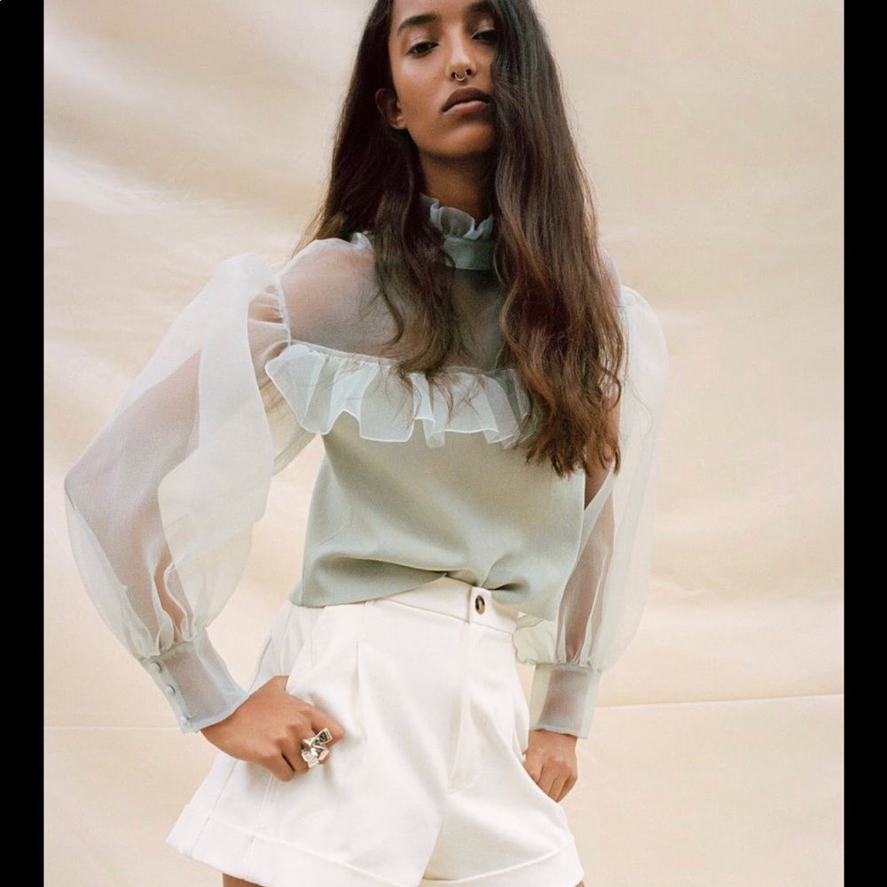 Zara Organza sea green top